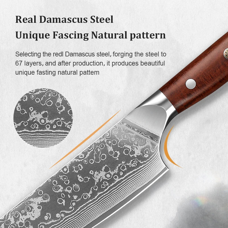 8 Inch Kitchen Chef Damascus Steel 67 Layers Japanese chef knife Chef's Knife with  's Knife Rosewood Handle